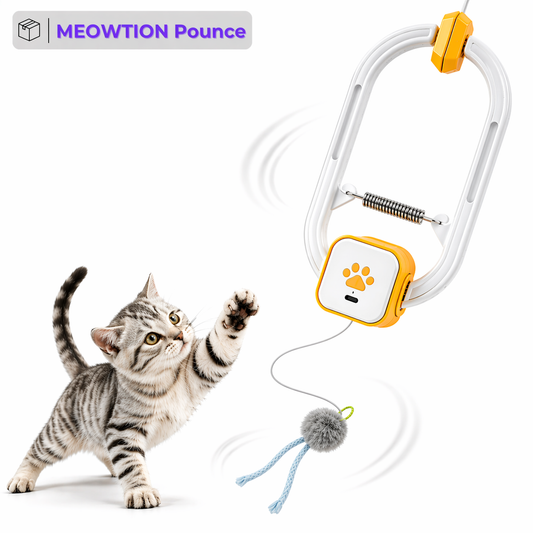 Meowtion Pounce